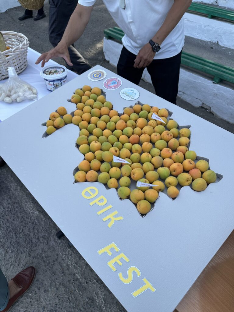 Apricot fest 2.JPG