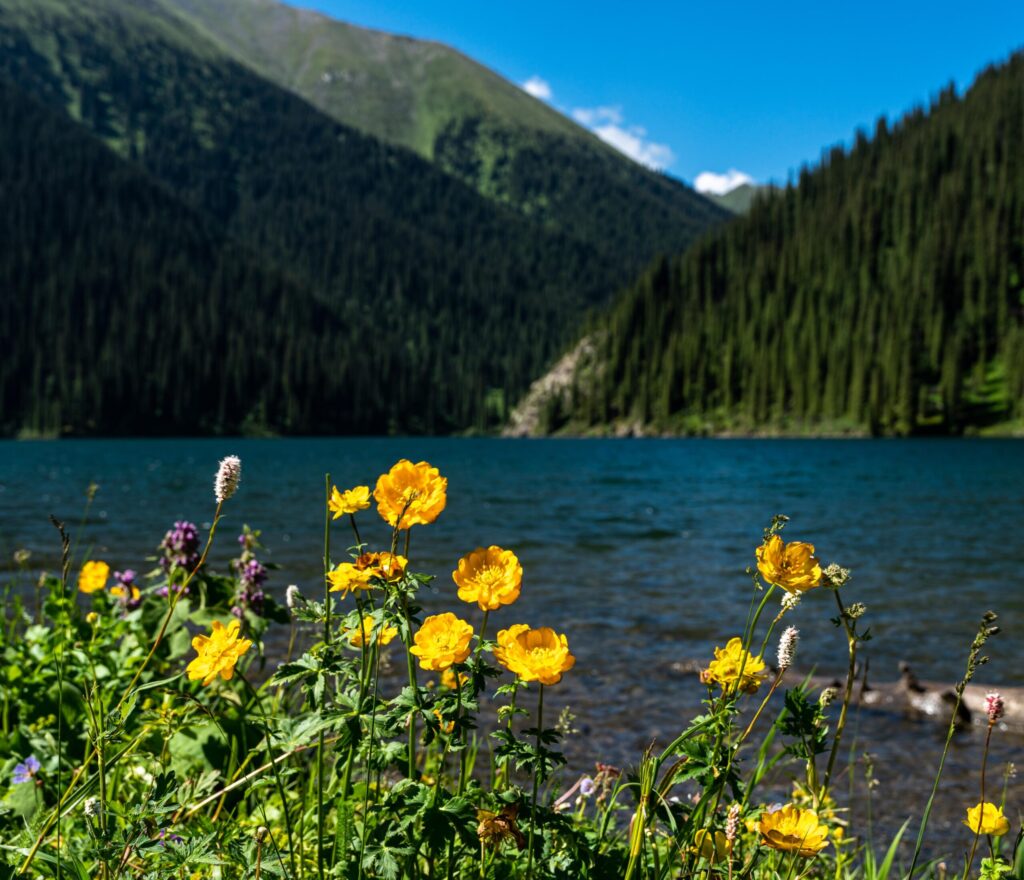 IMG-20250906-WA0032