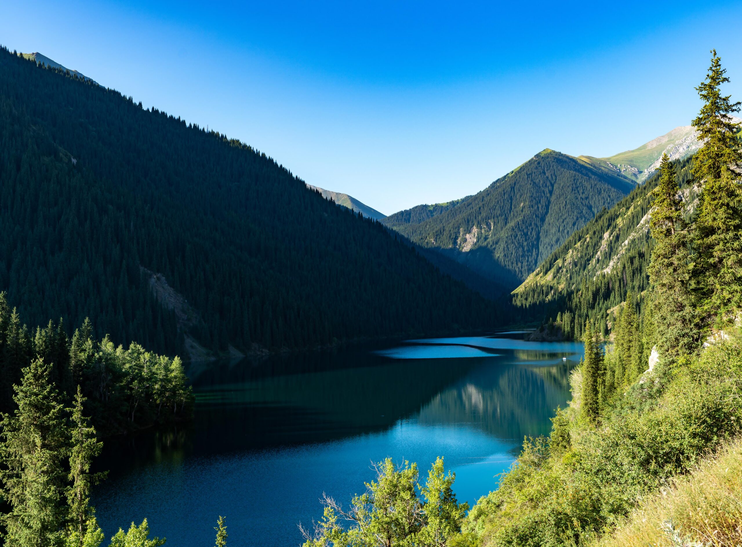 IMG-20250906-WA0049